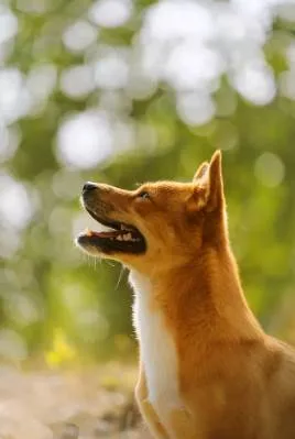 家裡驚現3種動物!閻王爺暗示大限將至?千萬別鐵齒 第 2 張