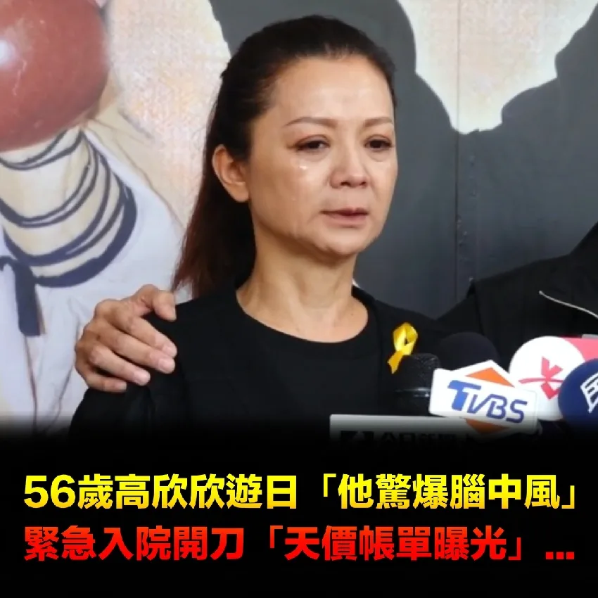 赴日旅遊突腦中風！56歲高欣欣緊急開刀 天價帳單曝光 第 5 張