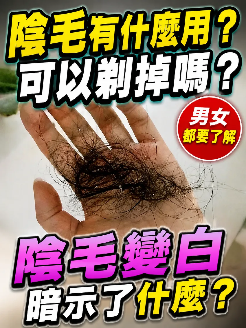 下面癢癢別亂剃!陰毛3大功用曝光,變白竟藏健康警訊 第 1 張